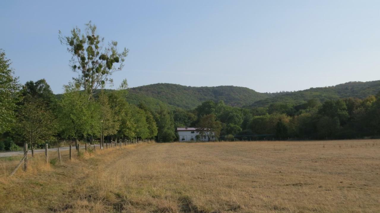 Ferienwohnung Wolfsholz Wernigerode Zewnętrze zdjęcie