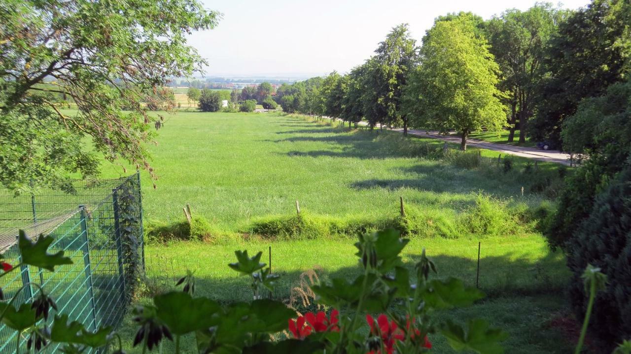 Ferienwohnung Wolfsholz Wernigerode Zewnętrze zdjęcie
